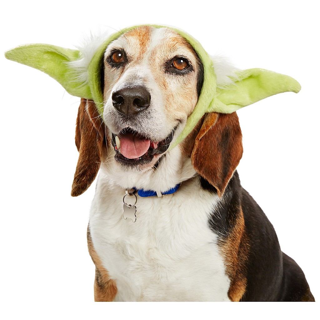 STAR WARS Yoda Dog Headband