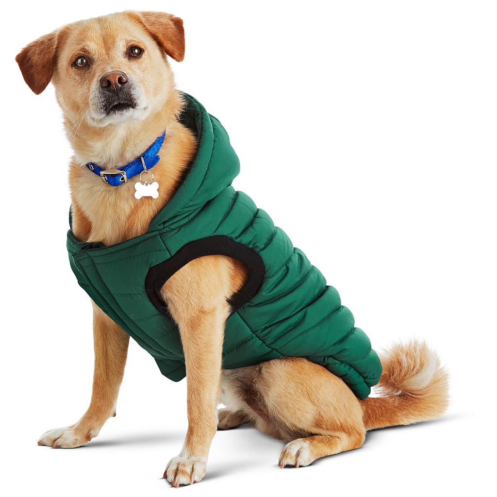 Good2Go Green Quilted Dog Parka
